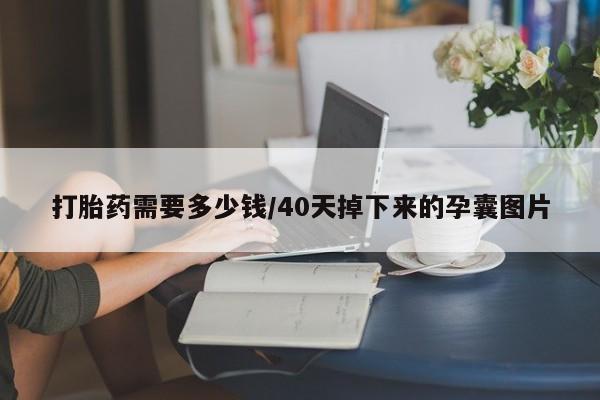 网上微信米非司酮片在线购打胎药需要多少钱/40天掉下来的孕囊图片