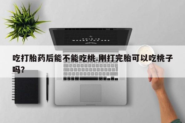 网上微信米非司酮片在线购吃打胎药后能不能吃桃.刚打完胎可以吃桃子吗?